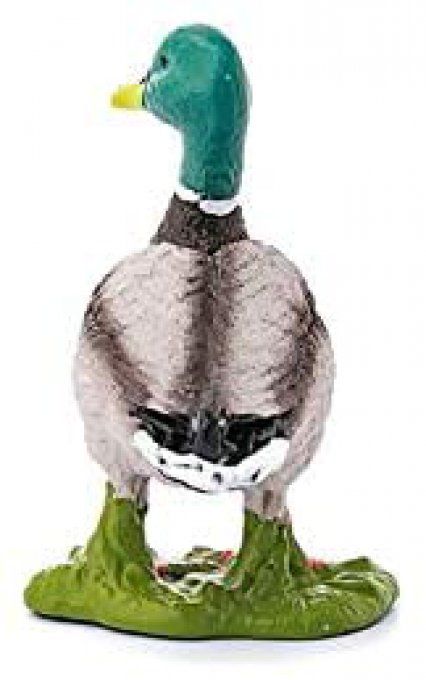Canard
