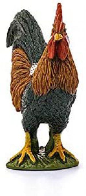 Coq