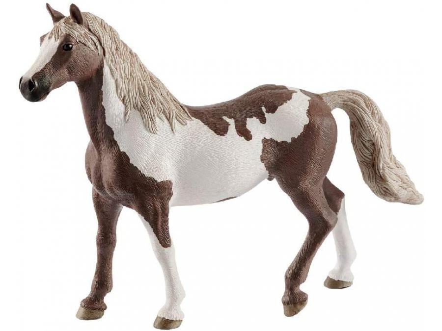 Hongre paint horse