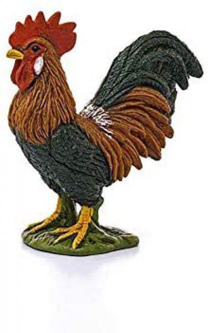 Coq