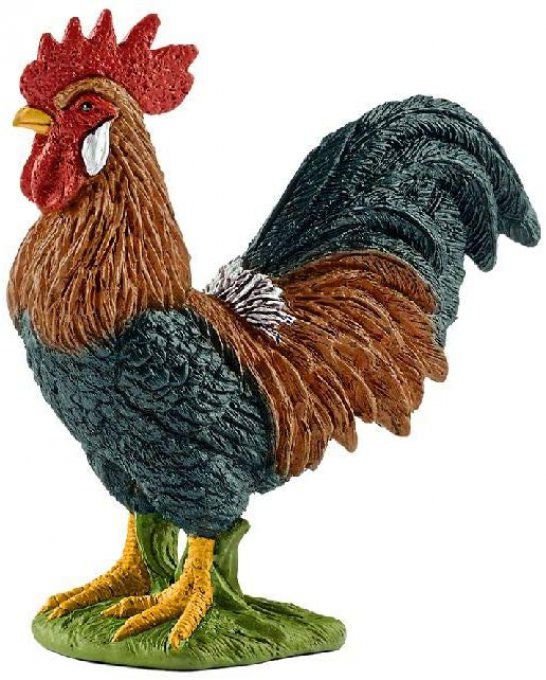 Coq