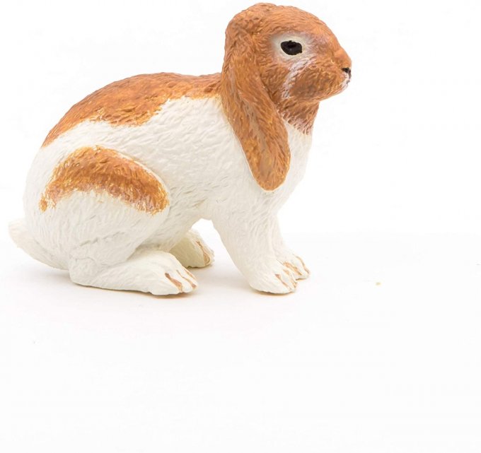 Lapin bélier