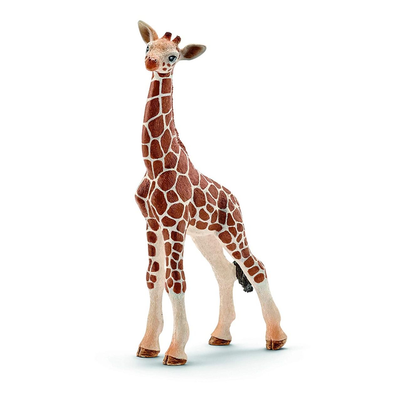 Bébé girafe girafon