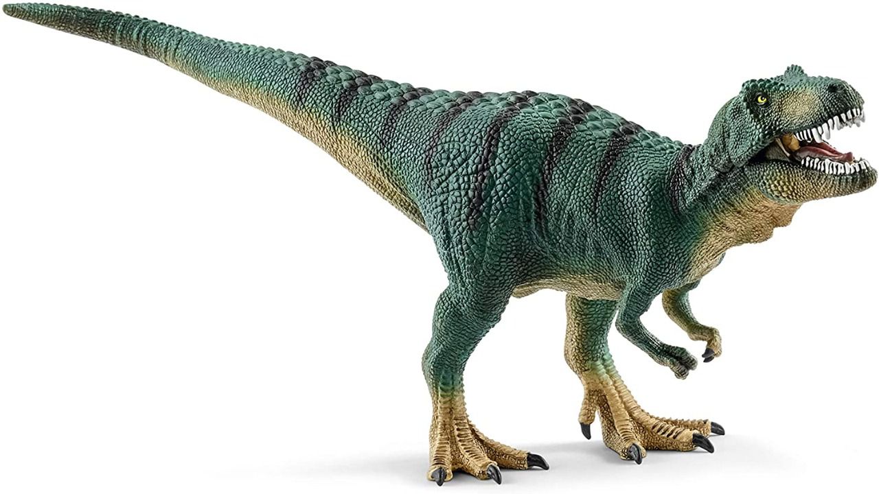 Jeune Tyrannosaure rex t rex