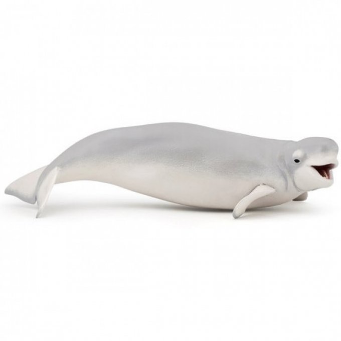 Beluga