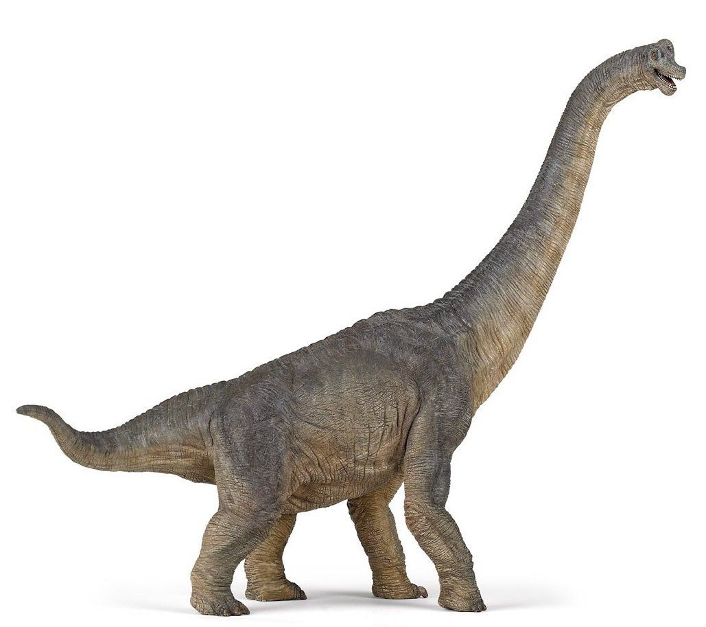 Brachiosaure géant