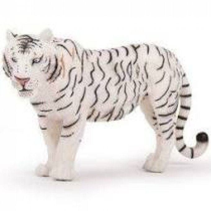 Tigre Blanc