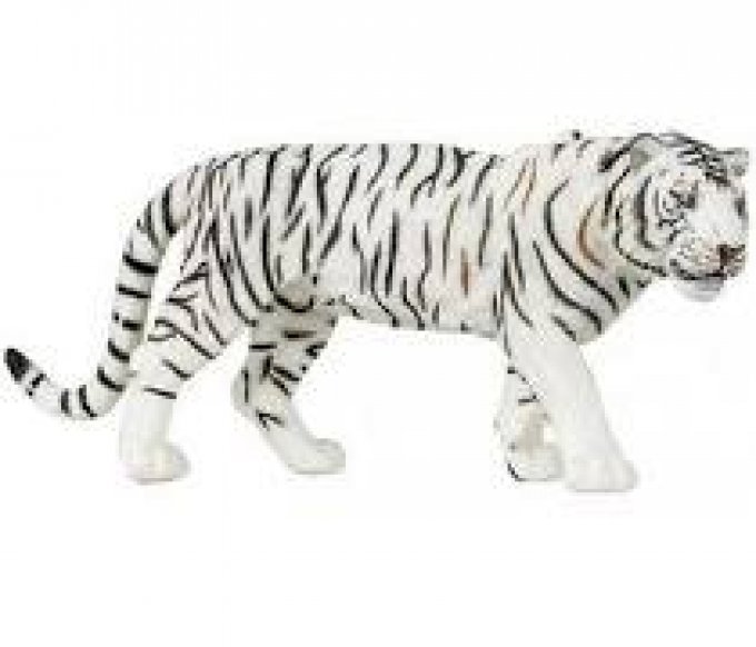 Tigre Blanc