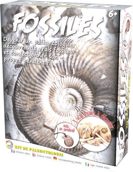 Kit archéologue Fossiles