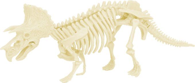 Kit archéologue Triceratops