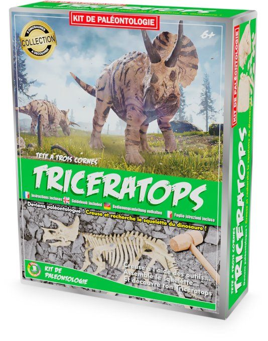 Kit archéologue Triceratops