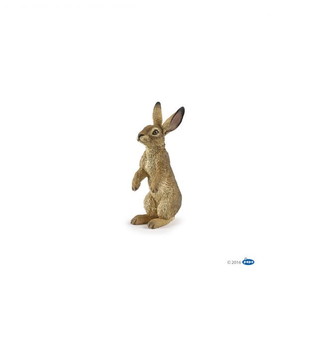 Lapin debout lievre