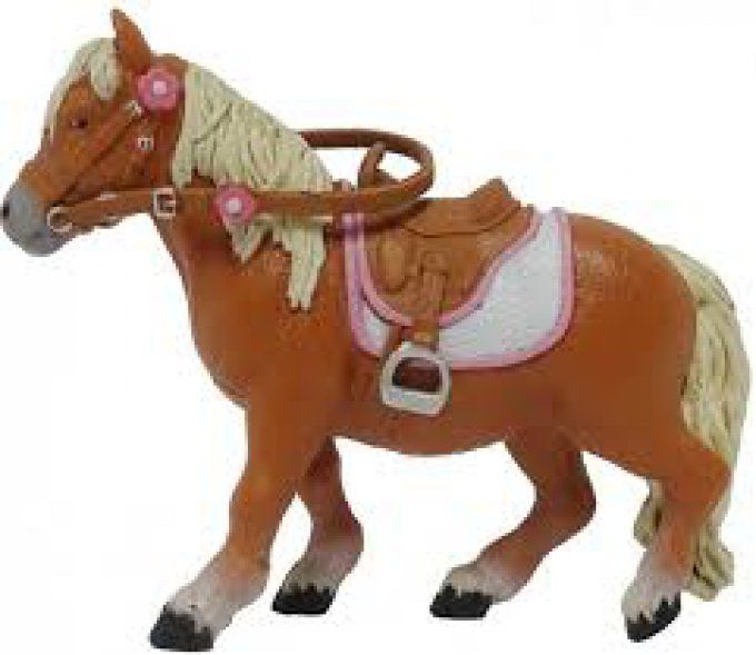 Poney shetland avec selle