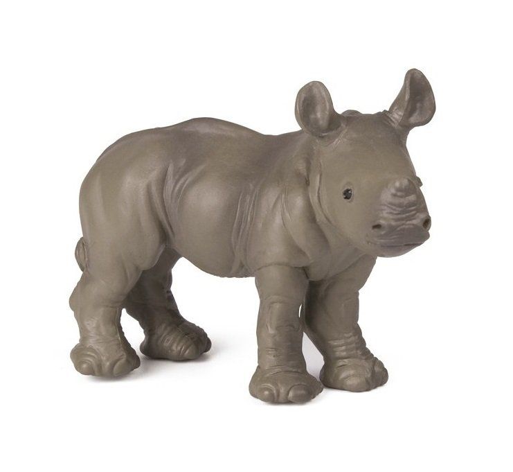 Bébé Rhinocéros