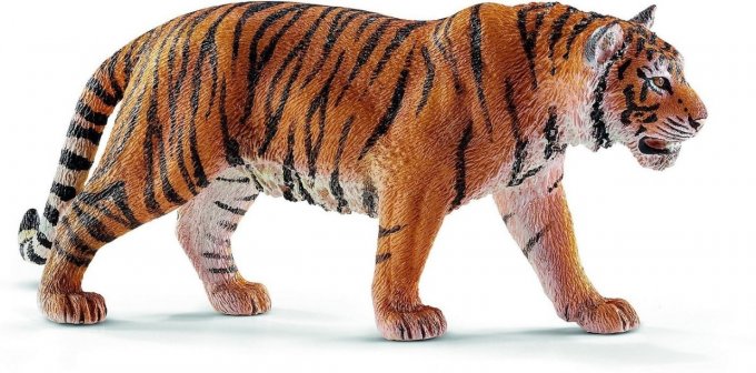 Tigre du Bengale