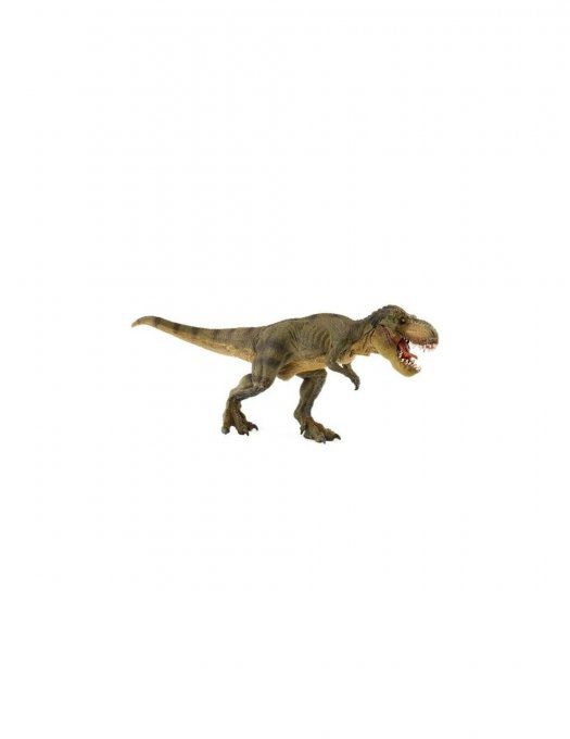 Tyrannosaure Rex t rex