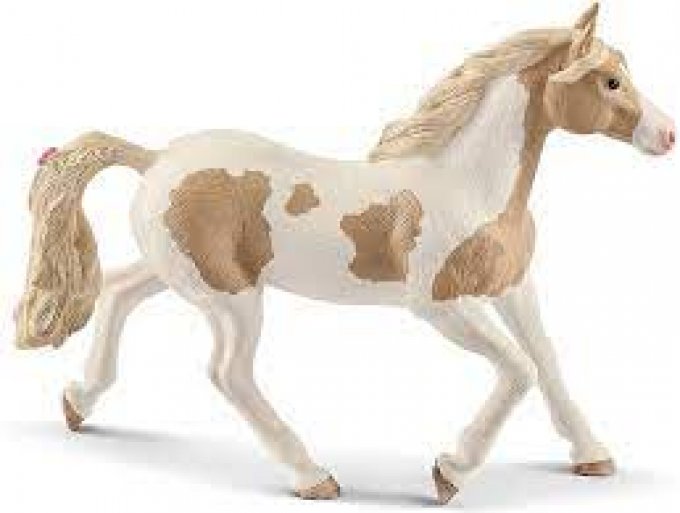 Jument paint horse