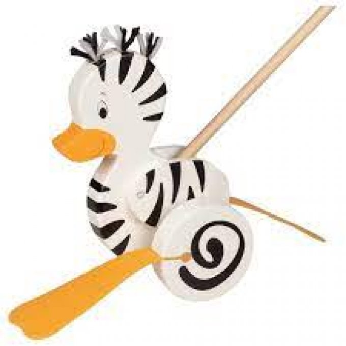 Canard-zèbre à pousser