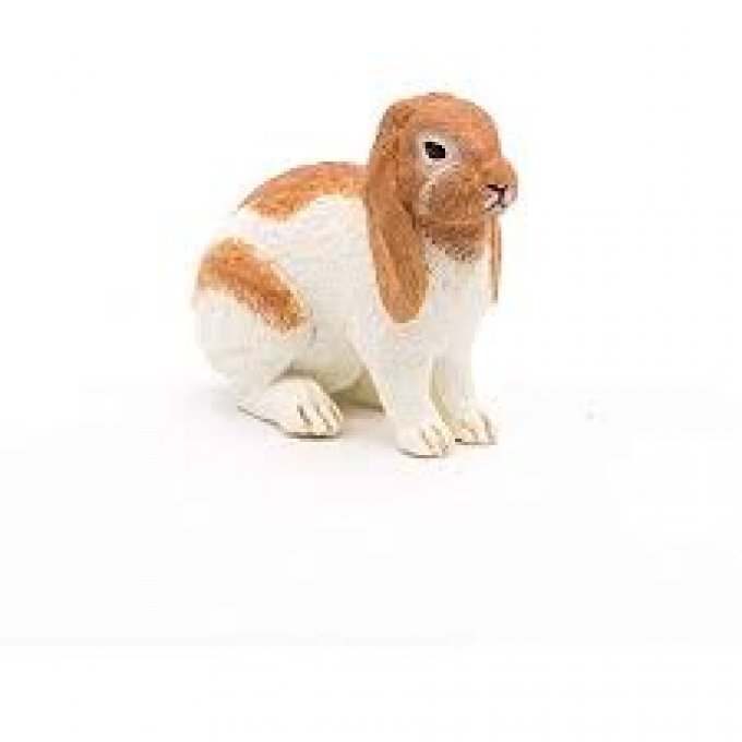 Lapin bélier