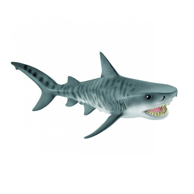 Animaux Marins