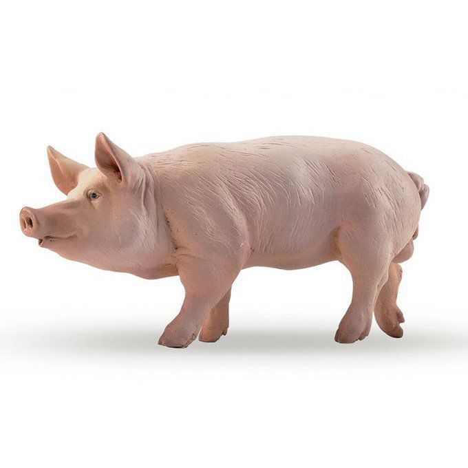 Animaux de la Ferme et Animaux de compagnie