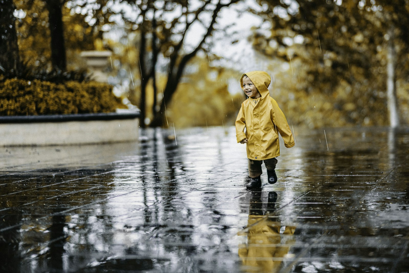 Enfant de 3 ans en veste de pluie jaune marchant sur un pavé mouillé en automne